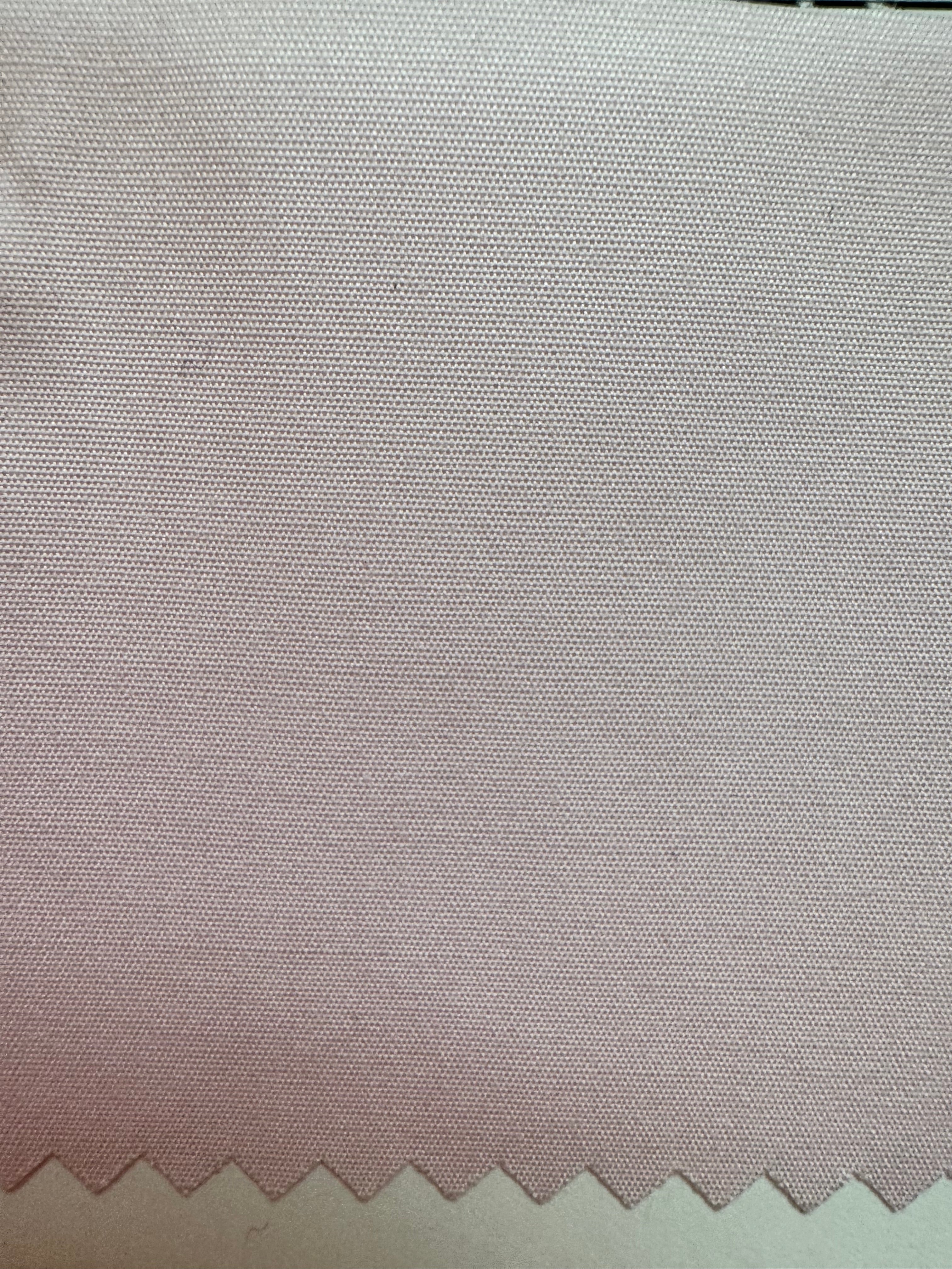 173 CF BD - Pink Spread Collar (Arriving Fall 26)
