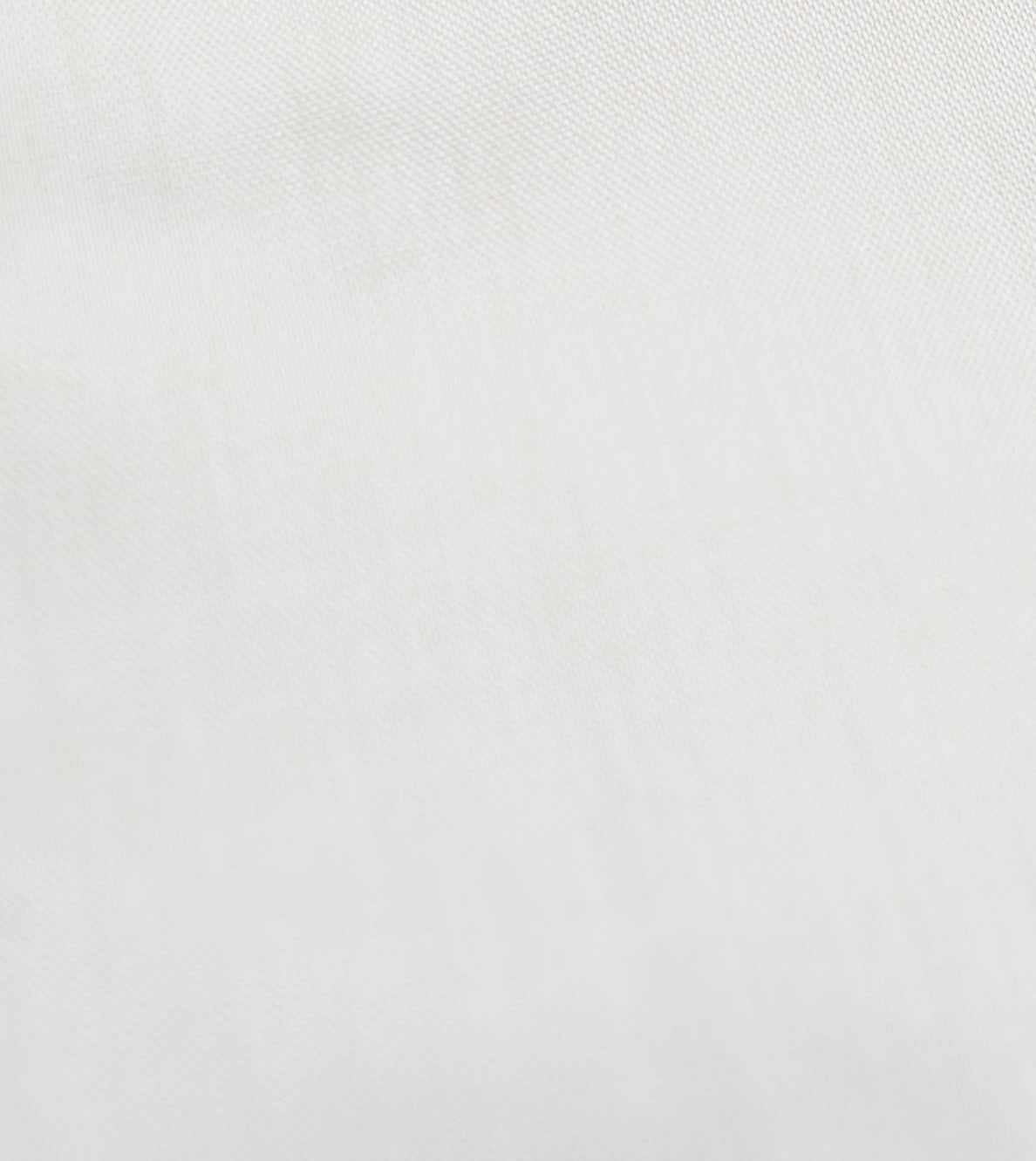 118 SC - Thomas Dylan Ecru Spread Collar